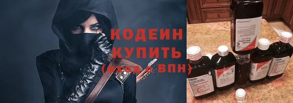 скорость Каменка