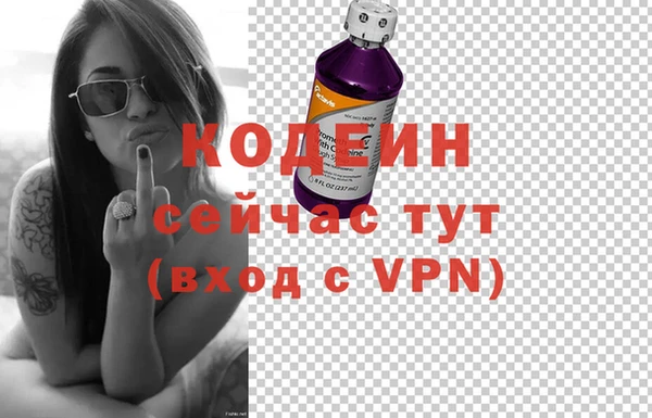 скорость Каменка