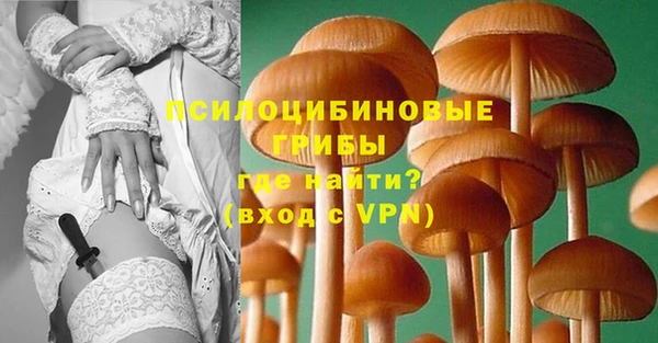 бошки Каменногорск