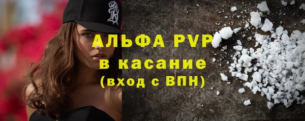 стафф Каменск-Шахтинский