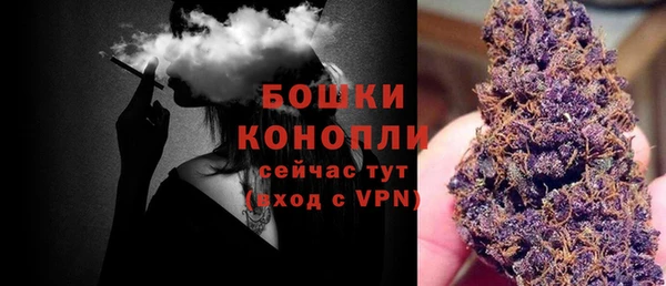 скорость Каменка
