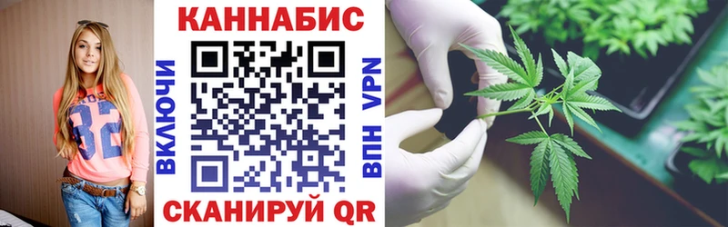 Купить где  Ельня  Конопля OG Kush 